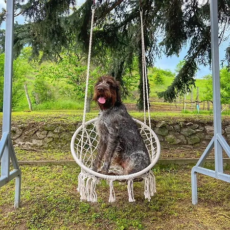 Apartamento Kamocsay